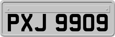 PXJ9909