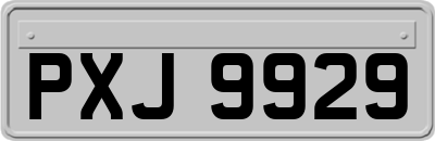 PXJ9929