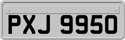 PXJ9950