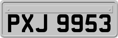 PXJ9953