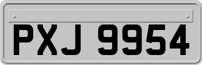 PXJ9954