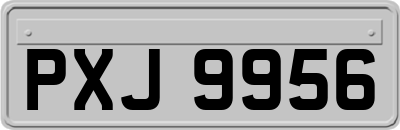 PXJ9956