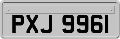 PXJ9961