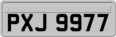 PXJ9977