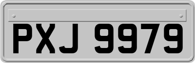 PXJ9979