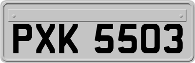 PXK5503