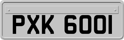 PXK6001