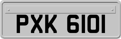 PXK6101