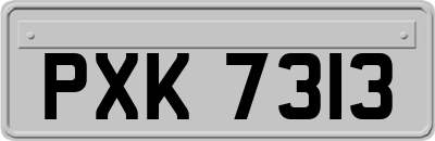 PXK7313