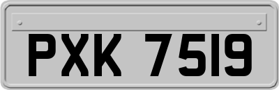 PXK7519