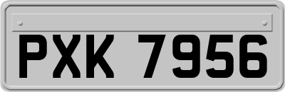 PXK7956