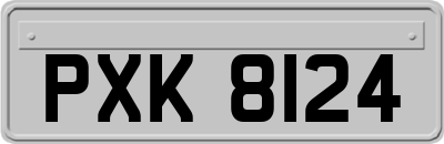 PXK8124