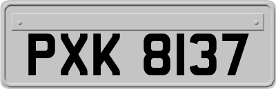 PXK8137