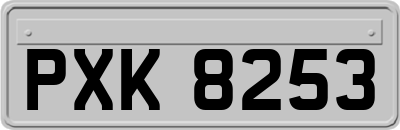 PXK8253