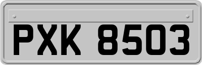 PXK8503