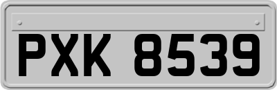 PXK8539