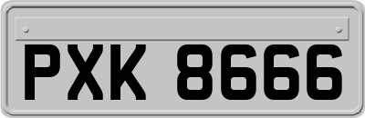 PXK8666