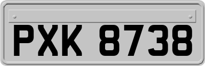 PXK8738