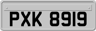 PXK8919