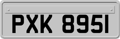 PXK8951