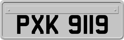 PXK9119