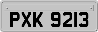 PXK9213