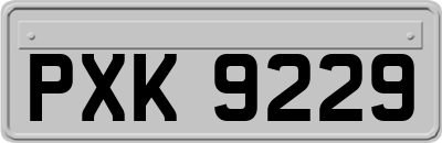 PXK9229