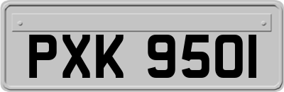 PXK9501