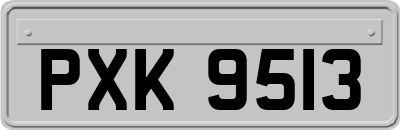 PXK9513