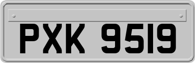 PXK9519