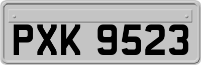 PXK9523