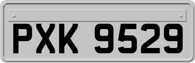 PXK9529