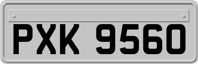 PXK9560