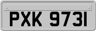 PXK9731