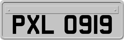 PXL0919