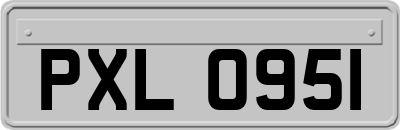 PXL0951