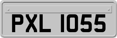 PXL1055