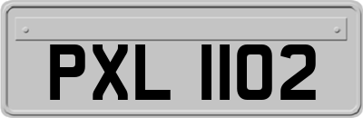 PXL1102