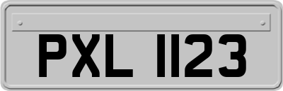 PXL1123