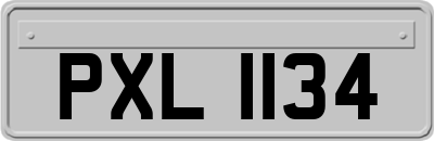 PXL1134