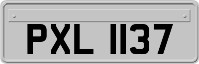 PXL1137