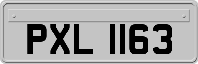 PXL1163