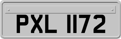 PXL1172