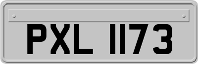 PXL1173