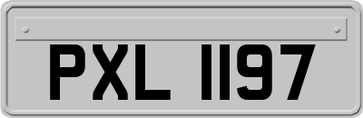 PXL1197