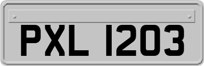 PXL1203