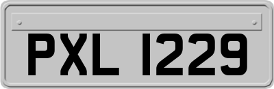 PXL1229