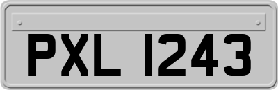 PXL1243