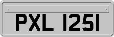 PXL1251