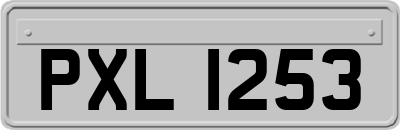 PXL1253